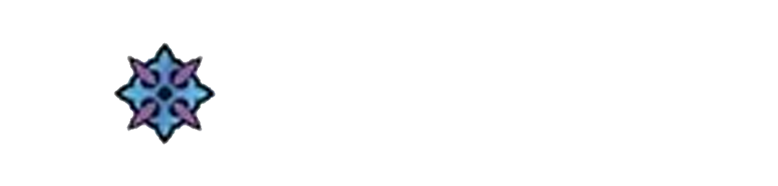 Партнер Молла